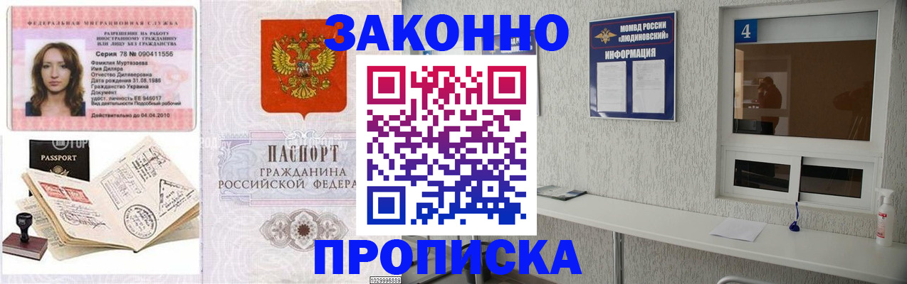 прописка в квартире в Курчалом